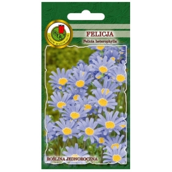 Nasiona Felicja niebieska pnos718